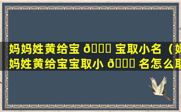 妈妈姓黄给宝 🍁 宝取小名（妈妈姓黄给宝宝取小 🐞 名怎么取）